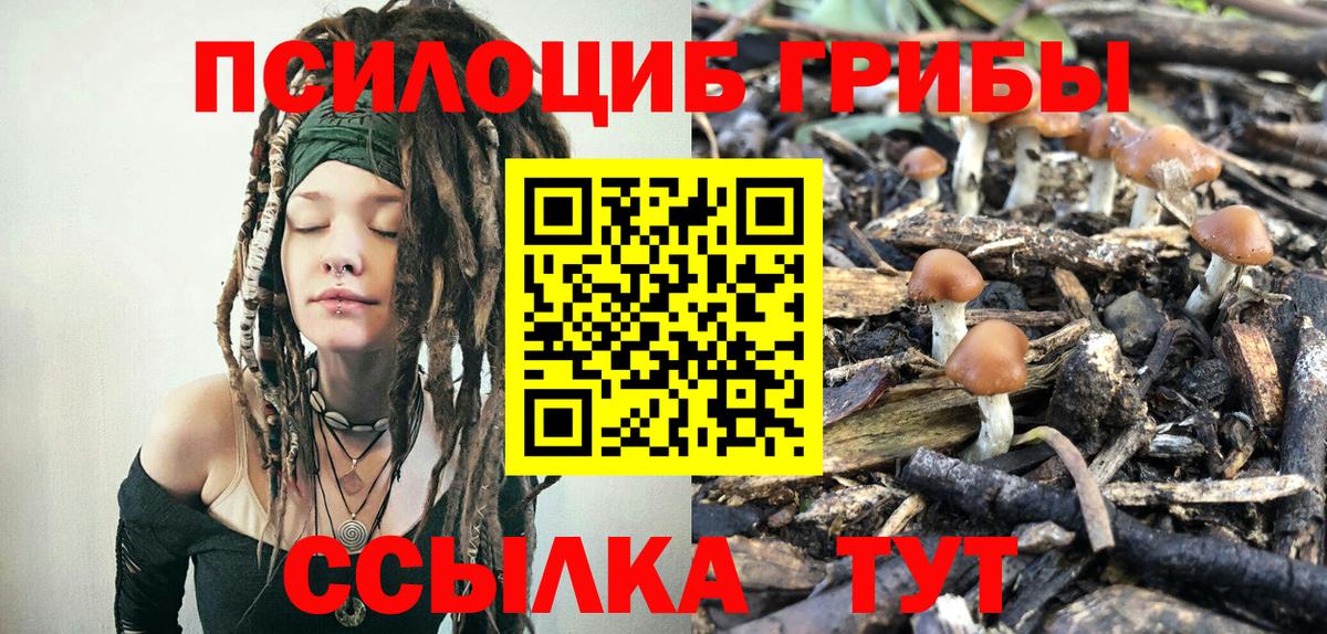 Псилоцибиновые грибы мухоморы Наро-Фоминск
